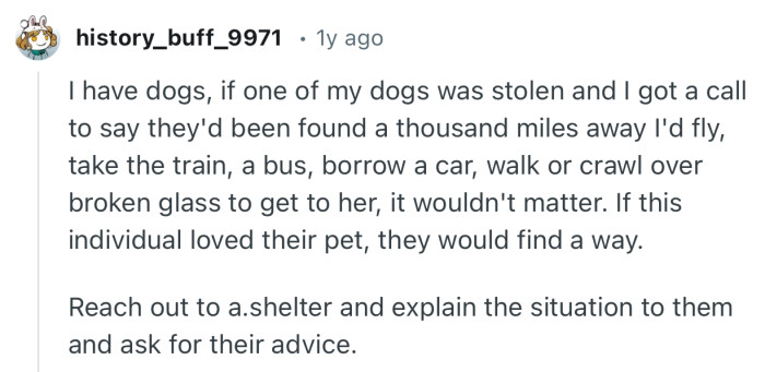 “Reach out to a.shelter and explain the situation to them and ask for their advice.”