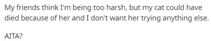 His friends told him he was too harsh, so he wanted some opinions from the people of Reddit.