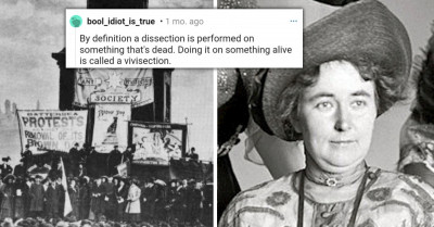 Redditor Shares Horrible Historical Moment When A Dog Was Dissected Alive