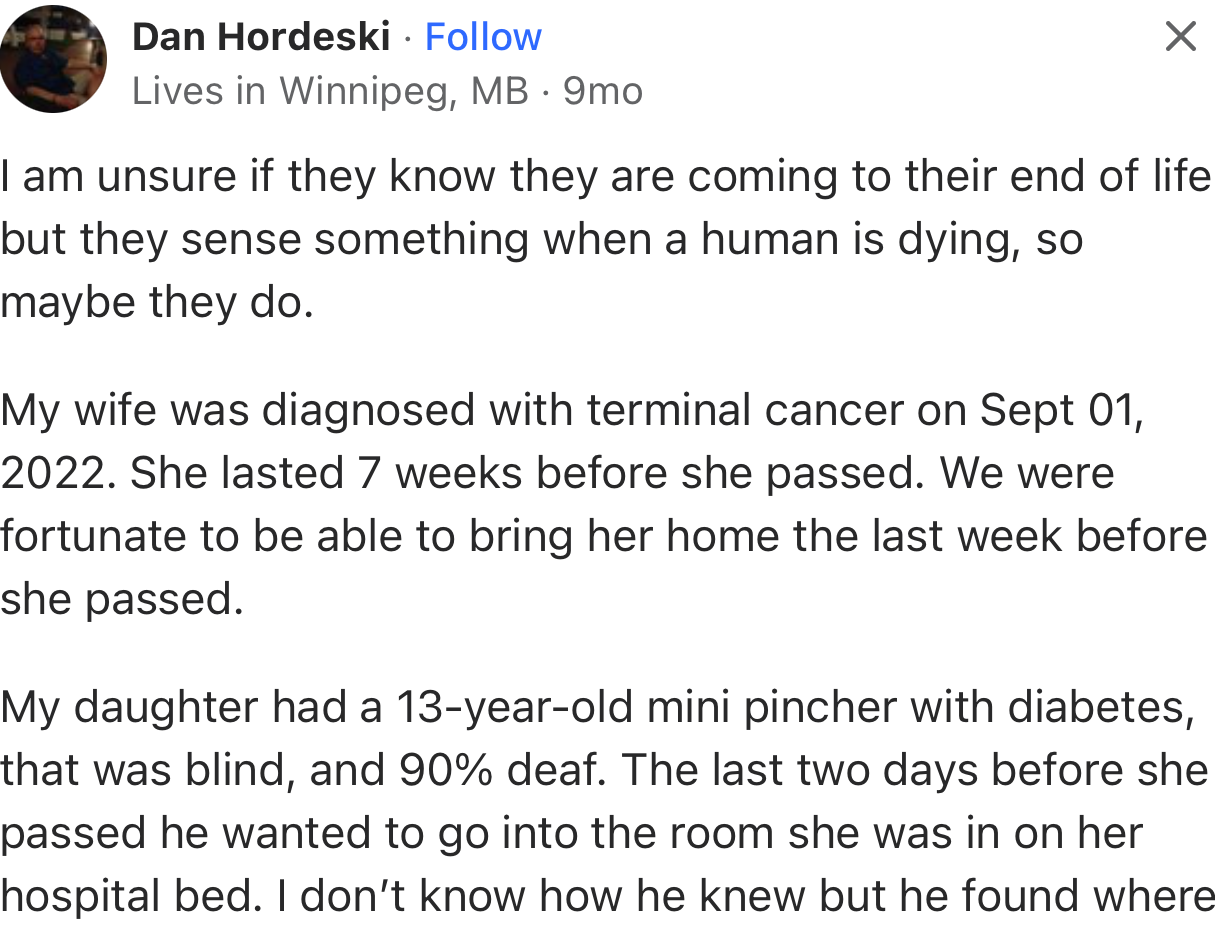 “I am unsure if they know they are coming to the end of their life, but they sense something when a human is dying, so maybe they do.”