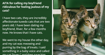 Boyfriend Gets Upset That Girlfriend Spends "Too Much" Time With Her Cats