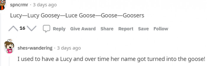 19. From Lucy down to Goose