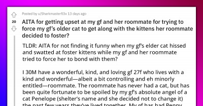 Redditor Laughed At For Saving Girlfriend's Cat From An Uncomfortable Situation