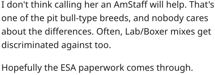 5. American Staffordshire Terrier is a breed of pit bull-type dog.