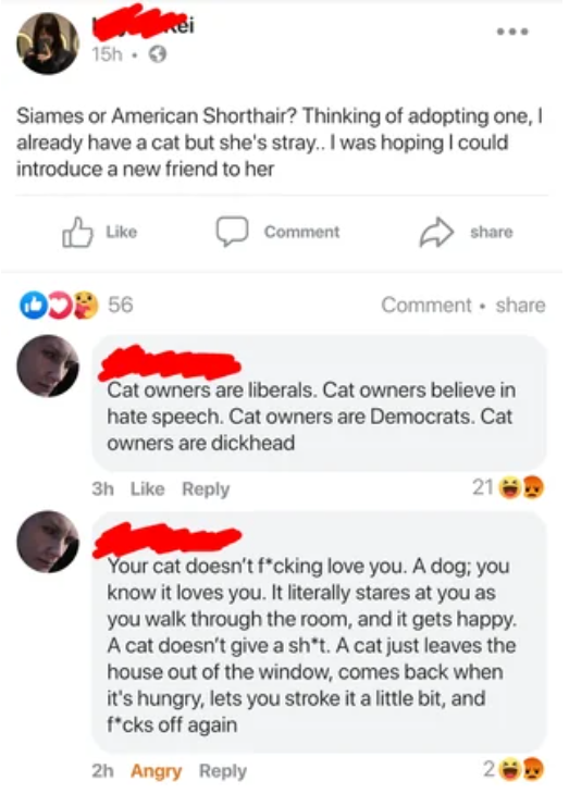 They then listed out jobs and activities that dogs assist humans with.