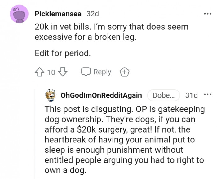 It seems excessive for a broken leg