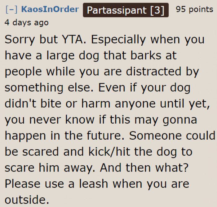 No Matter How Obedient the OP's Dog Is, People Still Think It's Wrong for OP to Unleash Their Dog.