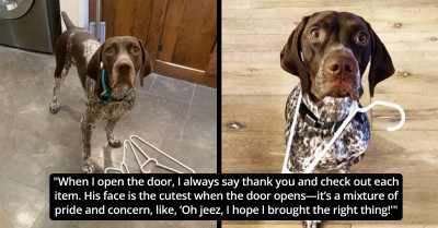 Puzzle-Loving Dog Brings Different Items To His Mom While She Showers In Failed Attempts To Lure Her Out