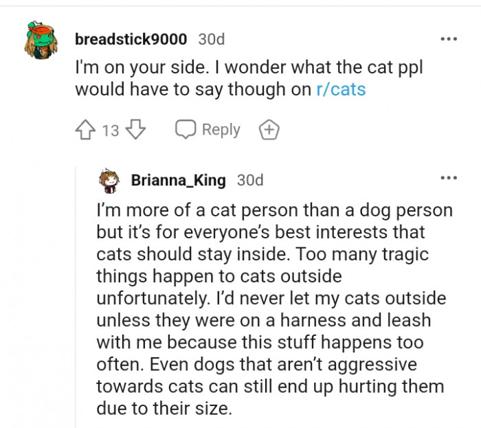 Dispute Ensues As A Redditor's Dogs Kills The Neighbor’s Cat In A Brutal Territorial Fight