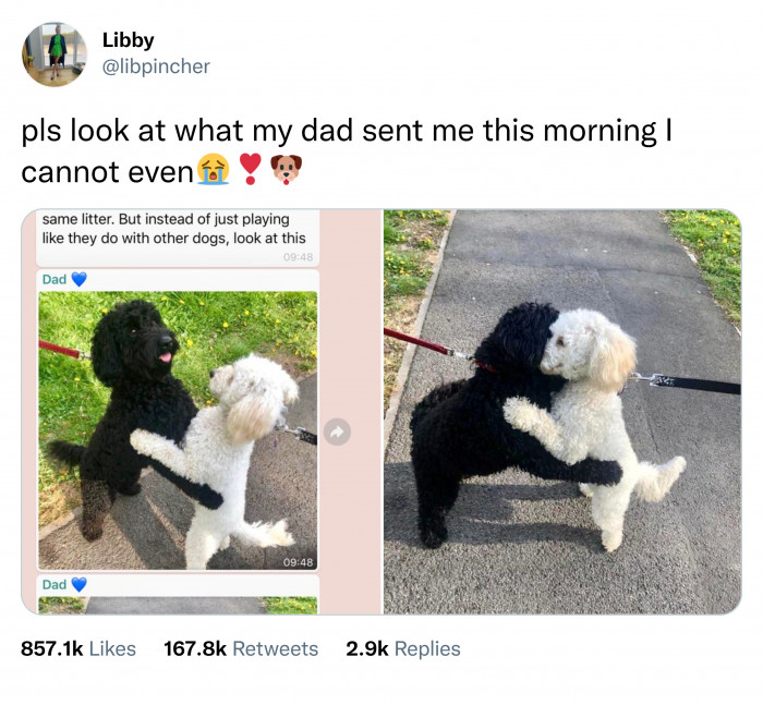 12. They somehow managed to recognize each other and then hugged.