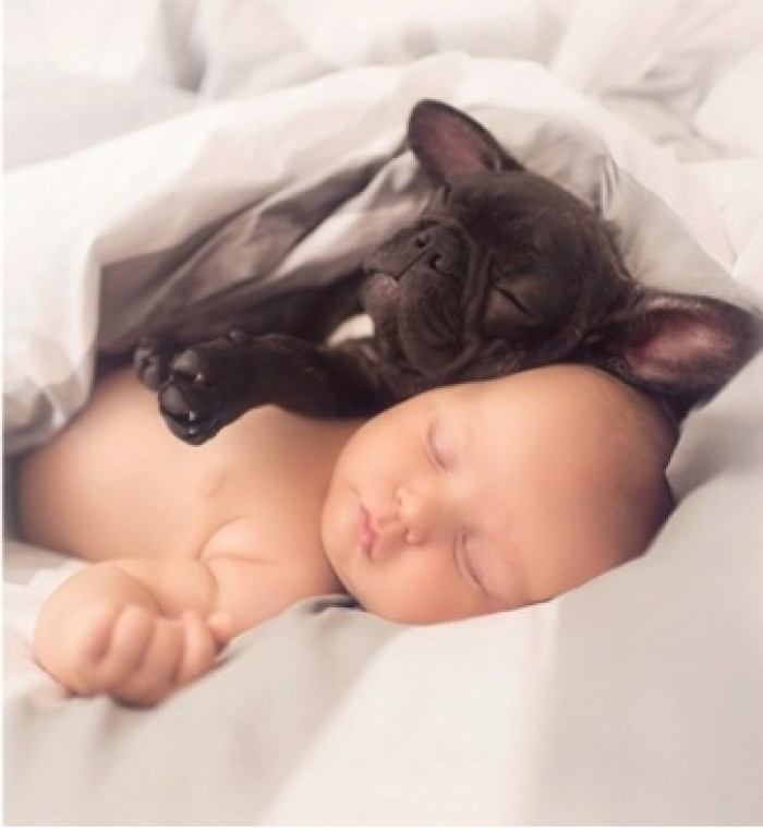 Dilan and Farley do everything together and probably think they are the same species