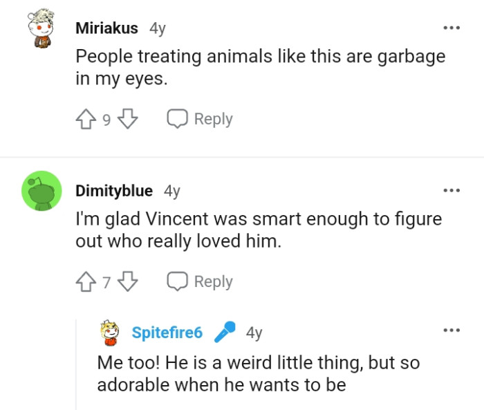 This Redditor despises people who treat cats badly