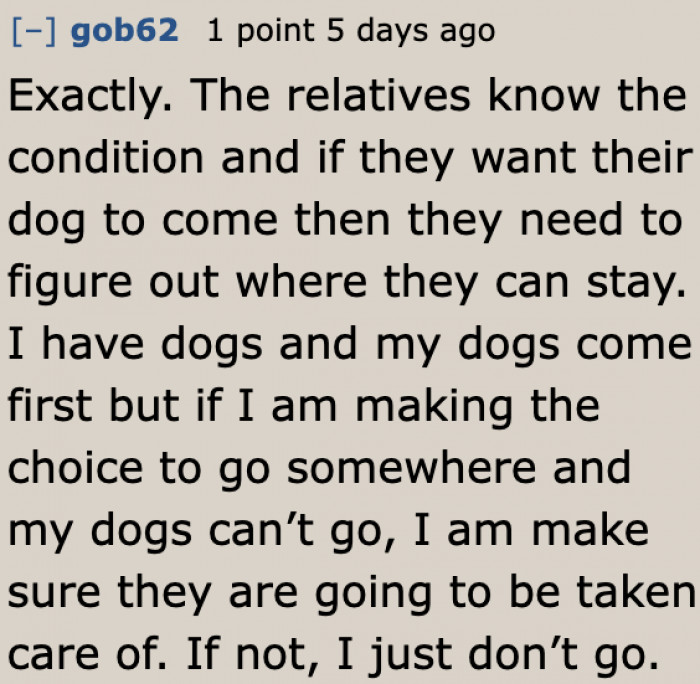 They can just book a place that accepts dogs and visit.