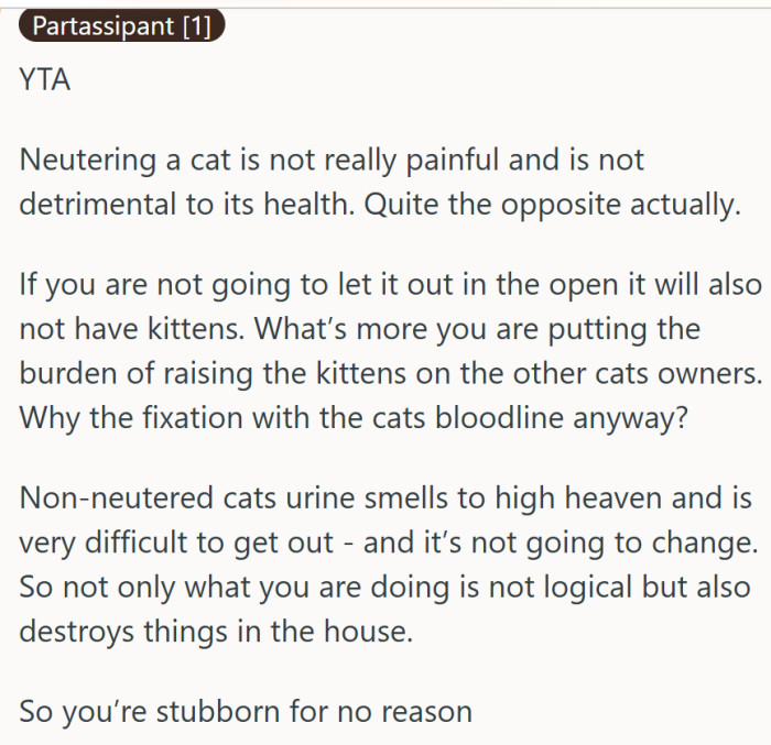 "Why the fixation with the cat's bloodline anyway?"