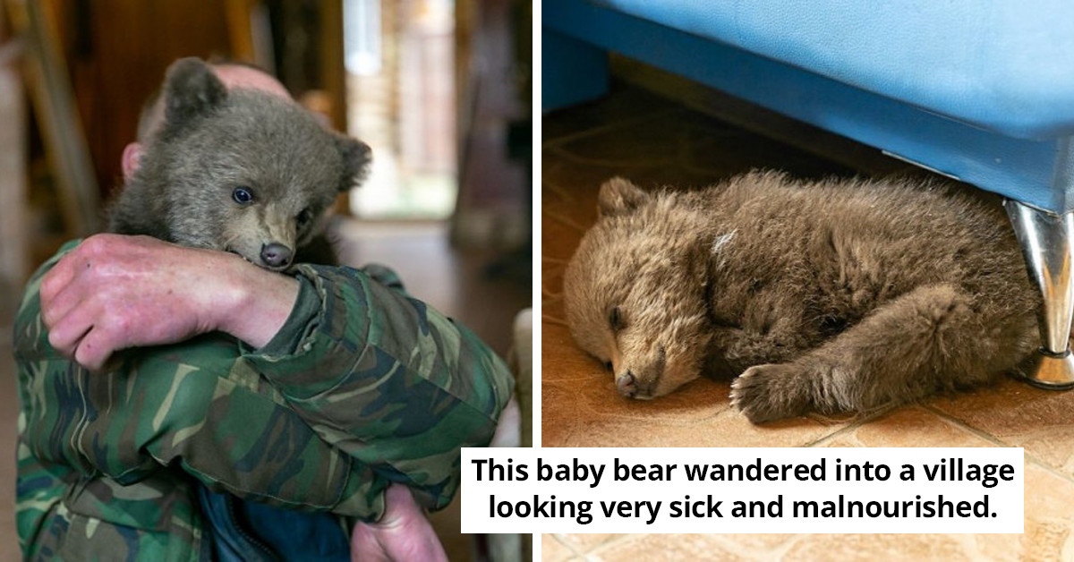 Man Ends Up With Unusual Pet After Saving A Bear Cub In Dire Need