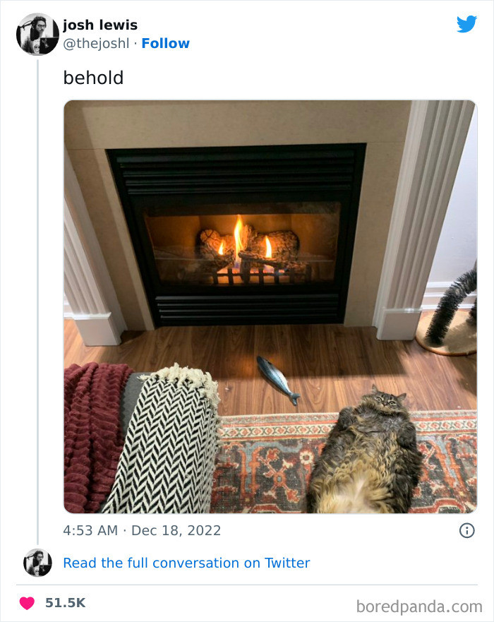 Cat posing with fashion theme, says bye and love it, cruel twist