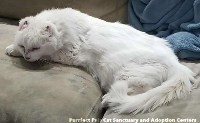 Jane Definitely Knew She Wanted Him to Come Home with Her!