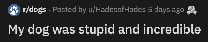 The pup did cause the unfortunate incident, but he didn't leave the old woman's side