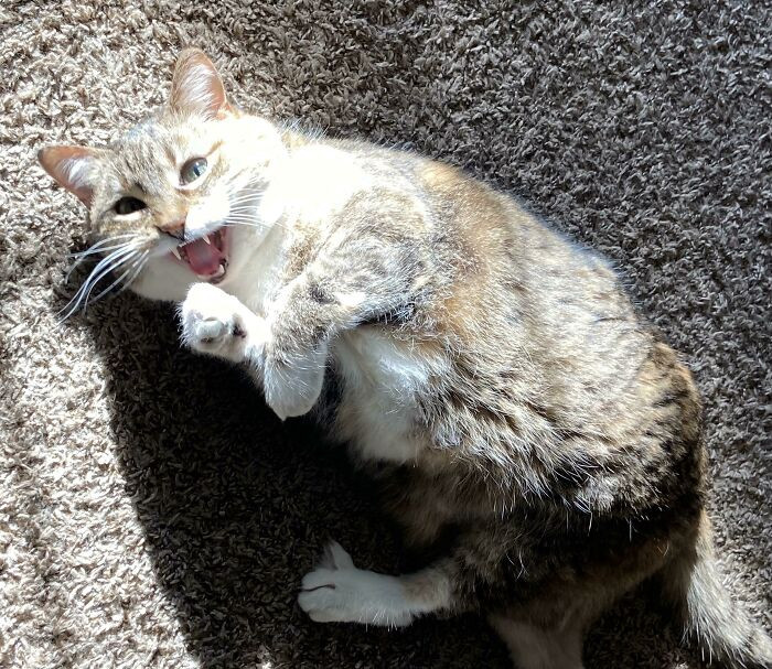 29. Under the afternoon sun, yelling.