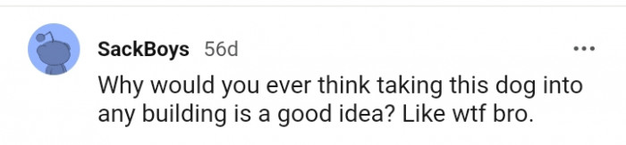 16. What were you even thinking?