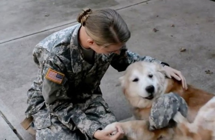 Dogs will wait for their owners forever