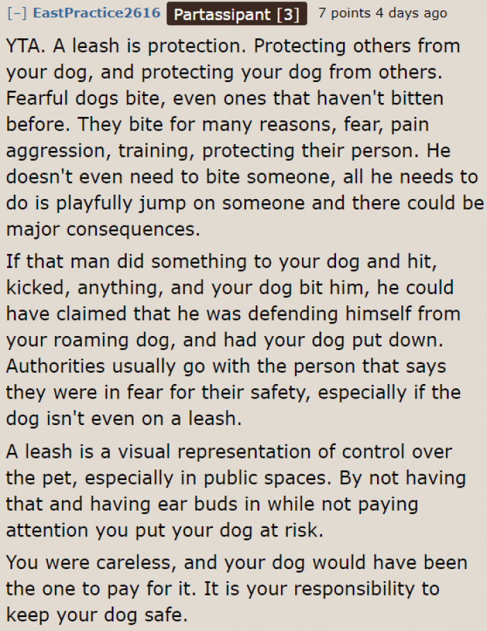 Leash = Protection