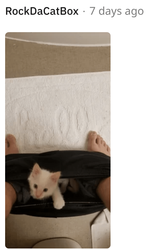 16. Let's poo together