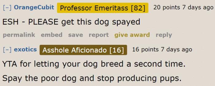 He shouldn't have allowed the dog to breed once more.