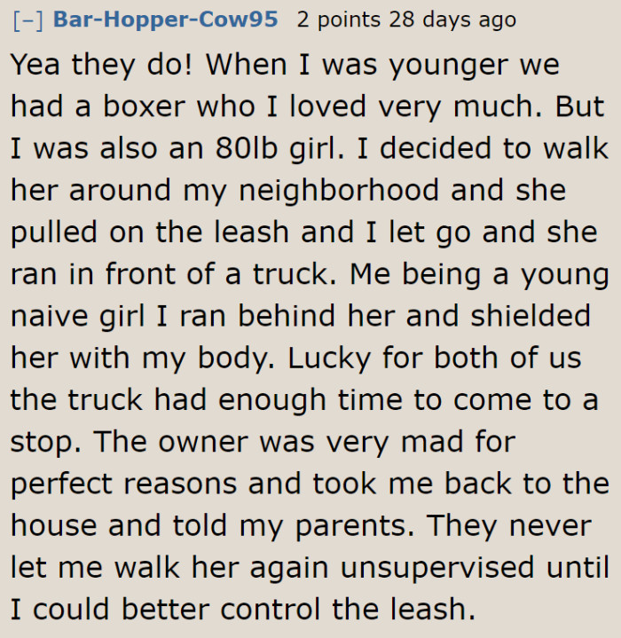 A Reddit user shared her experience when she walked the dog as a child.