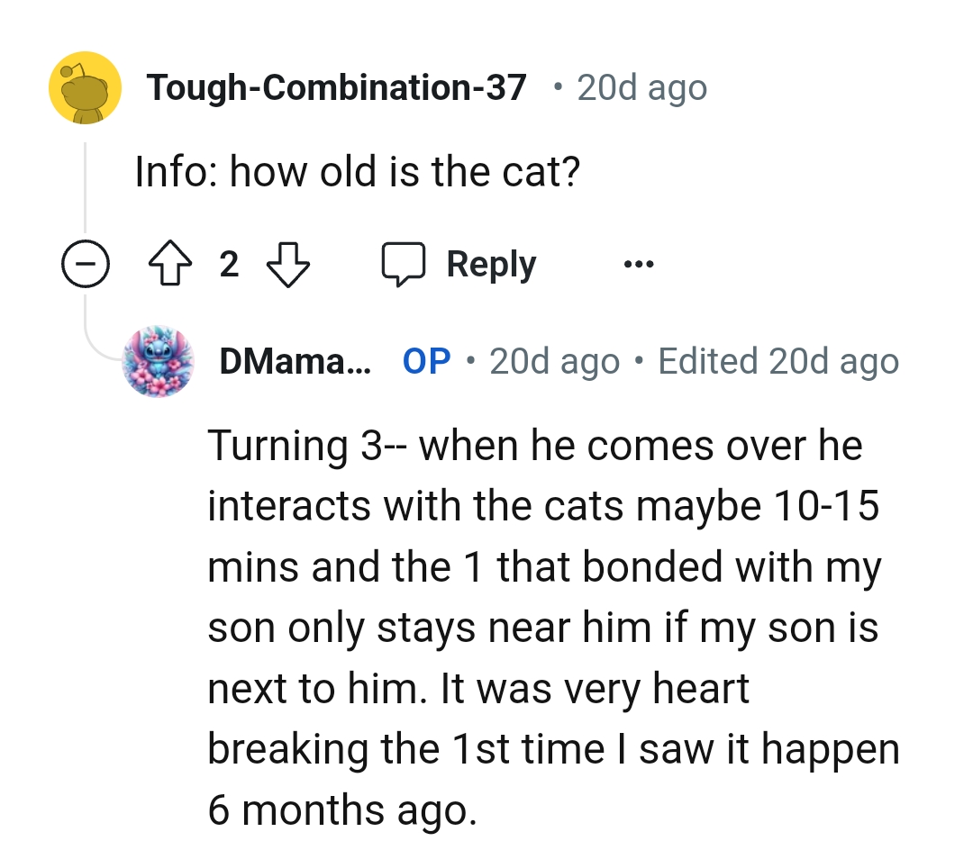 The Cat Is Turning Three, According to the OP
