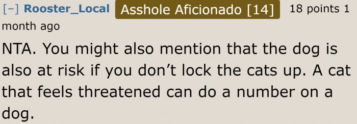 For some cats, the presence of a dog can already spell trouble.