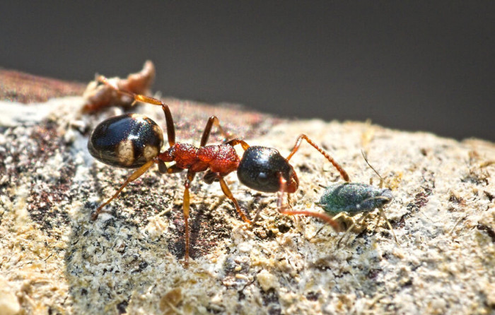 25. Call me the head of the clan, or better still, we're heading out