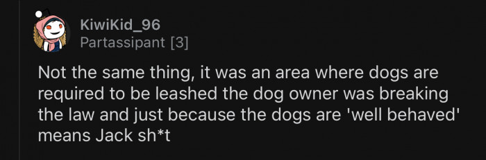 The dog owner was breaking the law. Period.