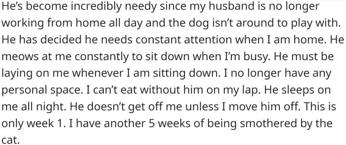 With only her and the cat at home, the cat has become incredibly needy since her husband is no longer working from home all day, and the dog isn’t around to play with.