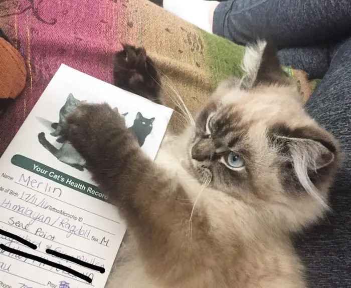 Okay, I believe that is mine, so hands off.