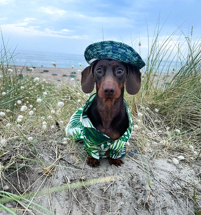 "What Did The Beach Say To The Tide When It Came In?"
