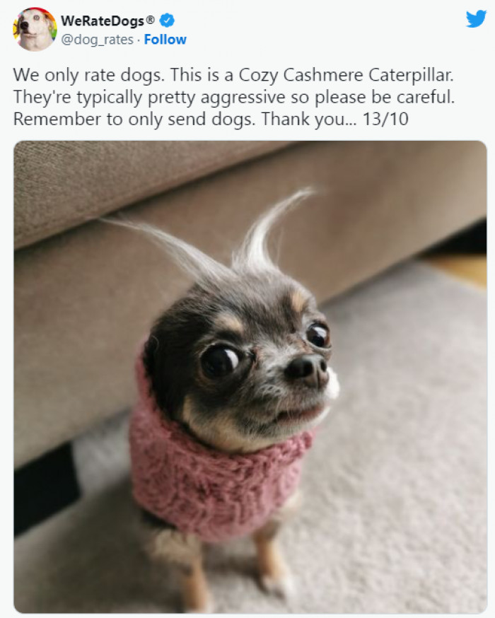 19. Cozy Cashmere Caterpillar