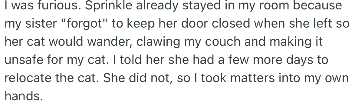 OP was angry and told her sister to find another place away from the apartment for her cat.