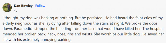 One dog sensed his elderly neighbor is in danger