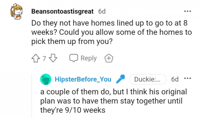 3. Having homes to go to