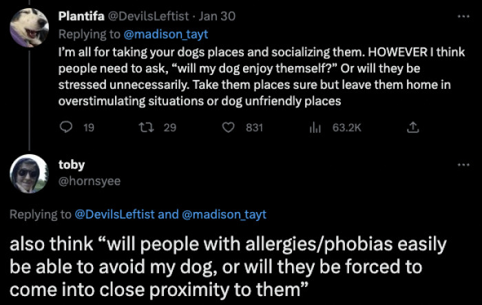 More people need to think about their dog’s feelings as well as other people’s.