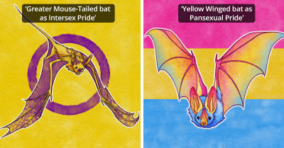 Celebrate Pride Month With 16 Pride-Themed Bats