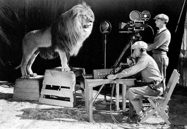 4. Yep, they used a real lion for the MGM logo! And here are the cameramen filming it.