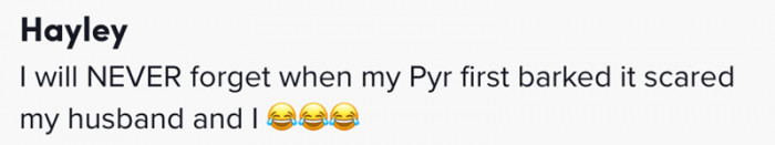 The first time my Pyr barked