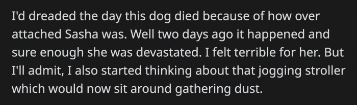 Since the Dog Is Gone, OP Felt Bad That the Stroller Will Now Sit Around Unused