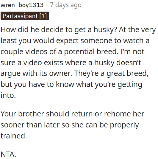 Huskies are known for being vocal and need proper training.