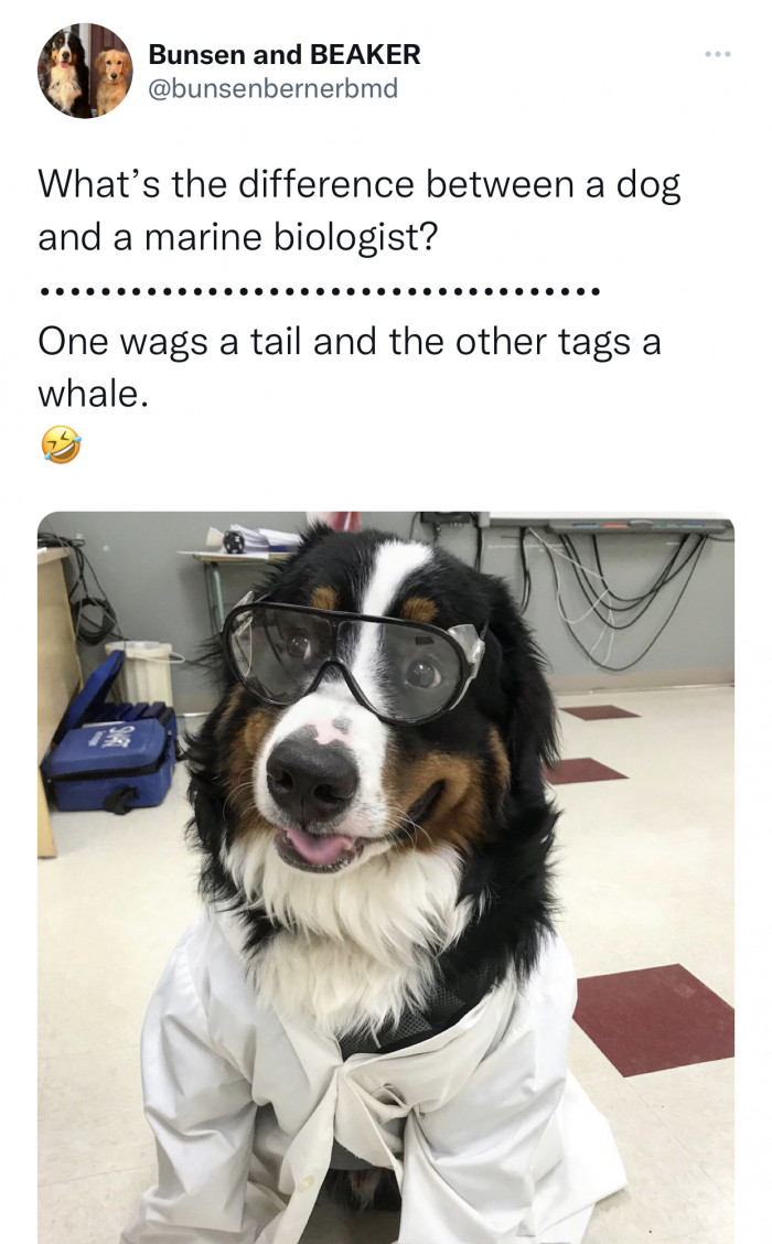 14. Both are extremely important jobs.