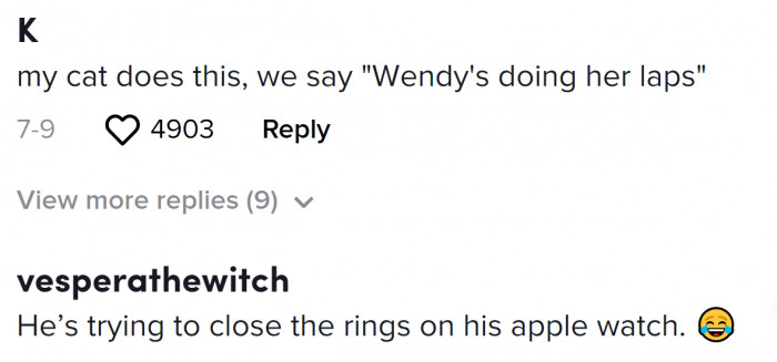 He wants to close his rings. That's his daily achievement.