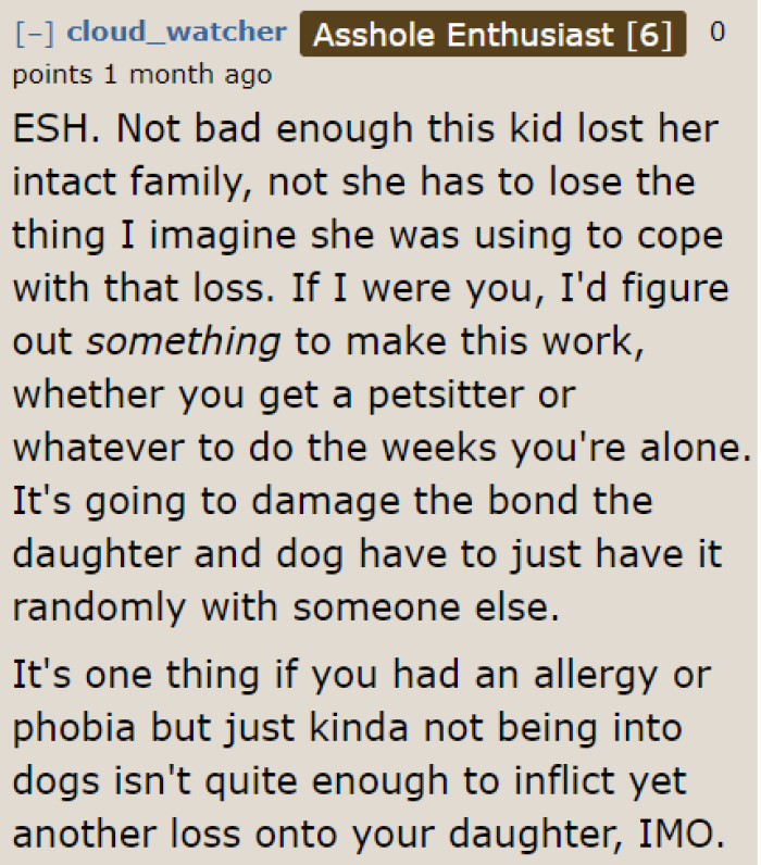 With divorced parents, the situation is already difficult for the child. This user believes that he should still do something about the dog since his daughter loves it so much.