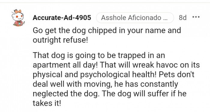 19. The dog will be trapped in an apartment all day